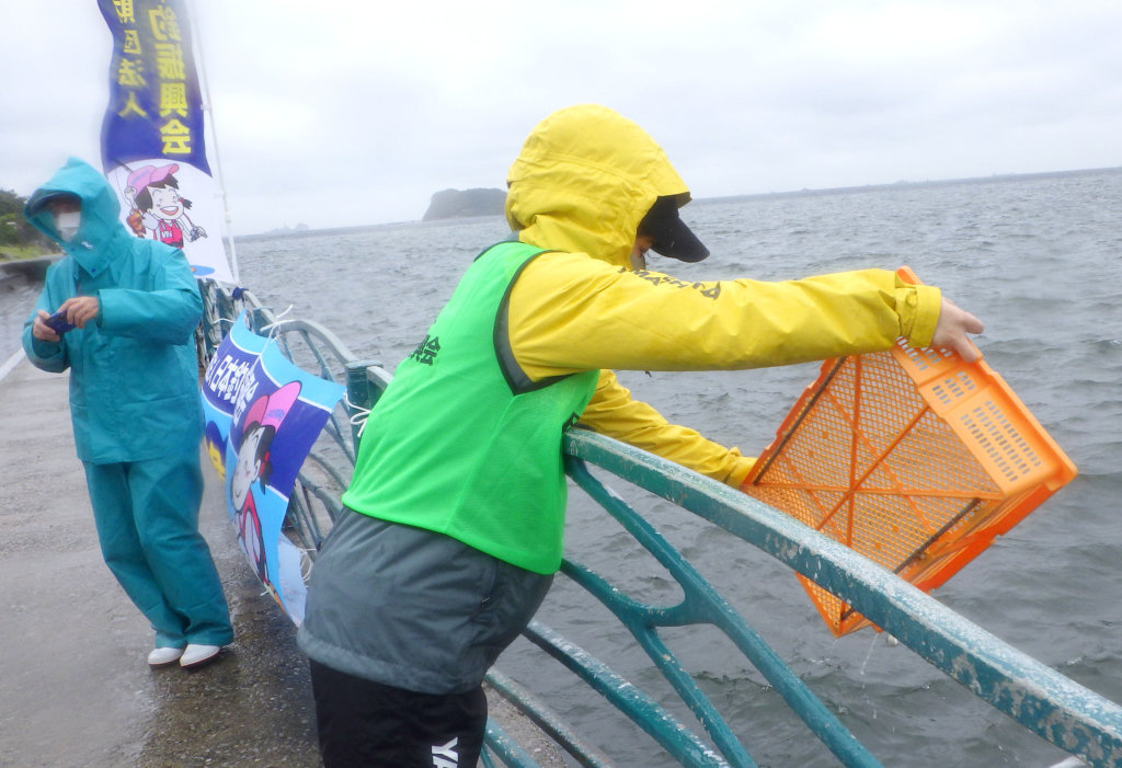 2020年７月17日、神奈川県横須賀市の「海辺つり公園」でメバルの稚魚約5000尾が放流された