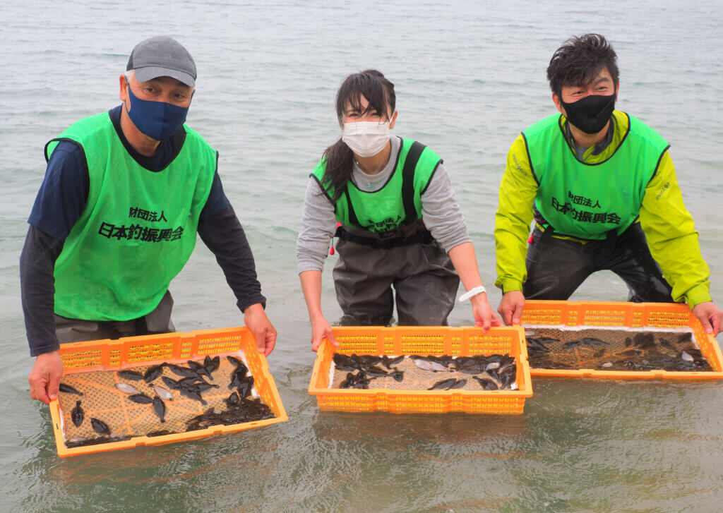 日本釣振興会和歌山県支部の稚魚放流の様子