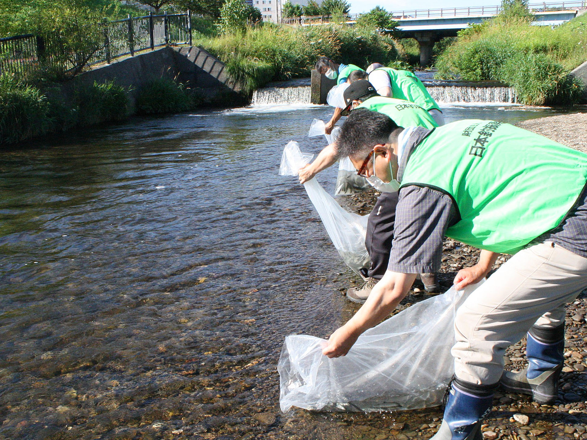 日釣振北海道地区支部 ヤマメ釣りを楽しんで 琴似発寒川 厚別川 札幌市内の河川で放流活動 釣具新聞 釣具業界の業界紙 公式ニュースサイト