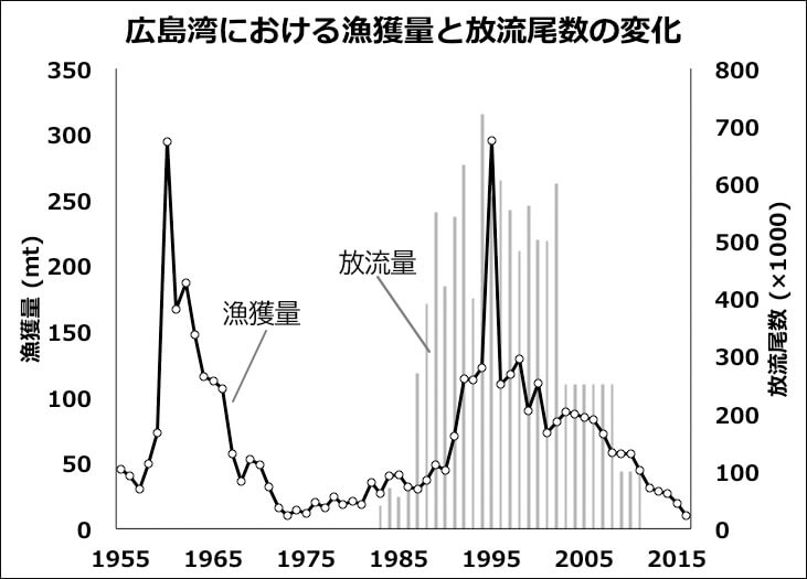 海野徹也連載広島湾における漁獲量と放流の変化グラフ