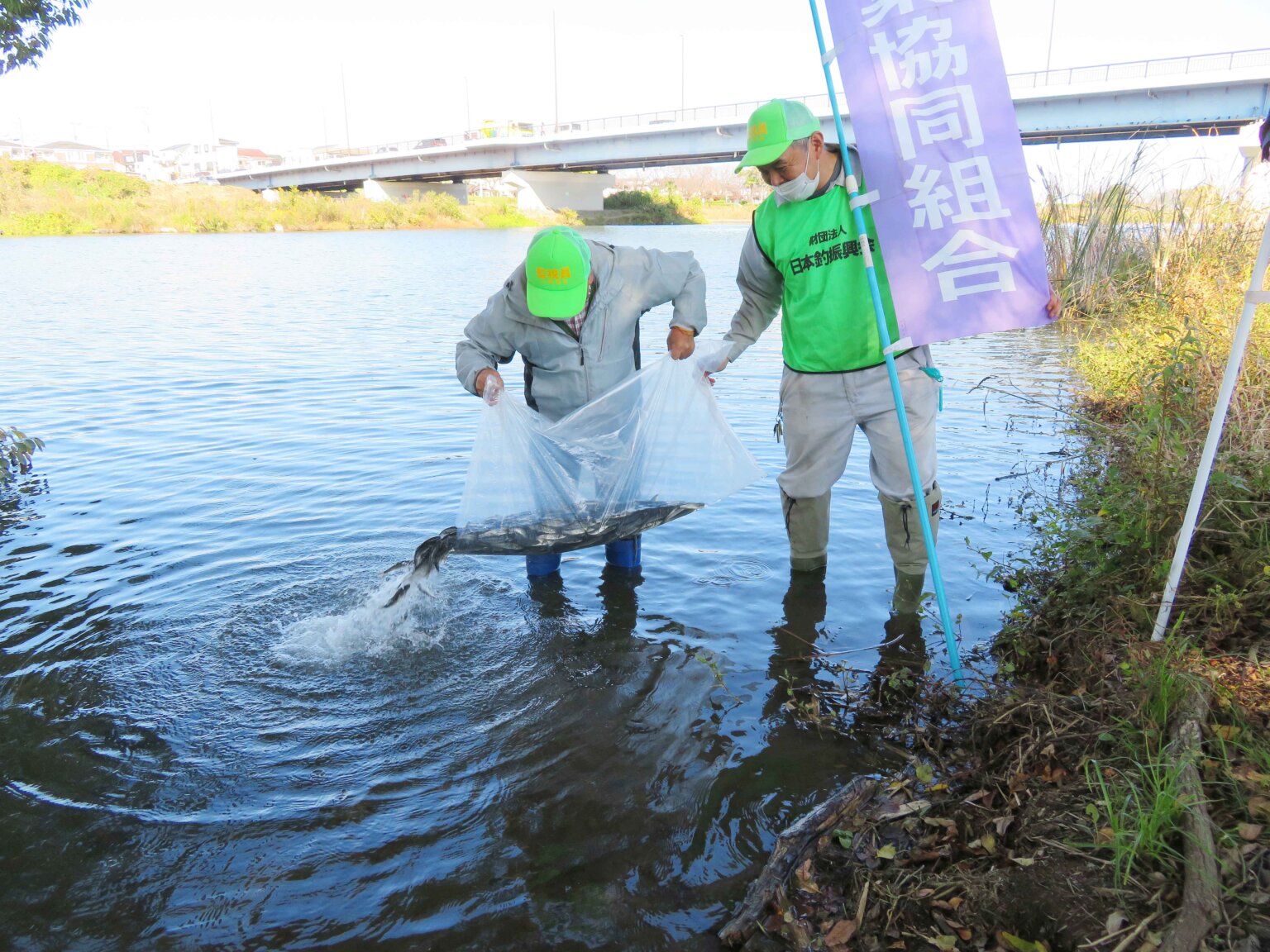 埼玉県入間水系にウグイを約1万尾放流。漁協とも協力、合計9名が参加 | 釣具新聞 | 釣具業界の業界紙 | 公式ニュースサイト