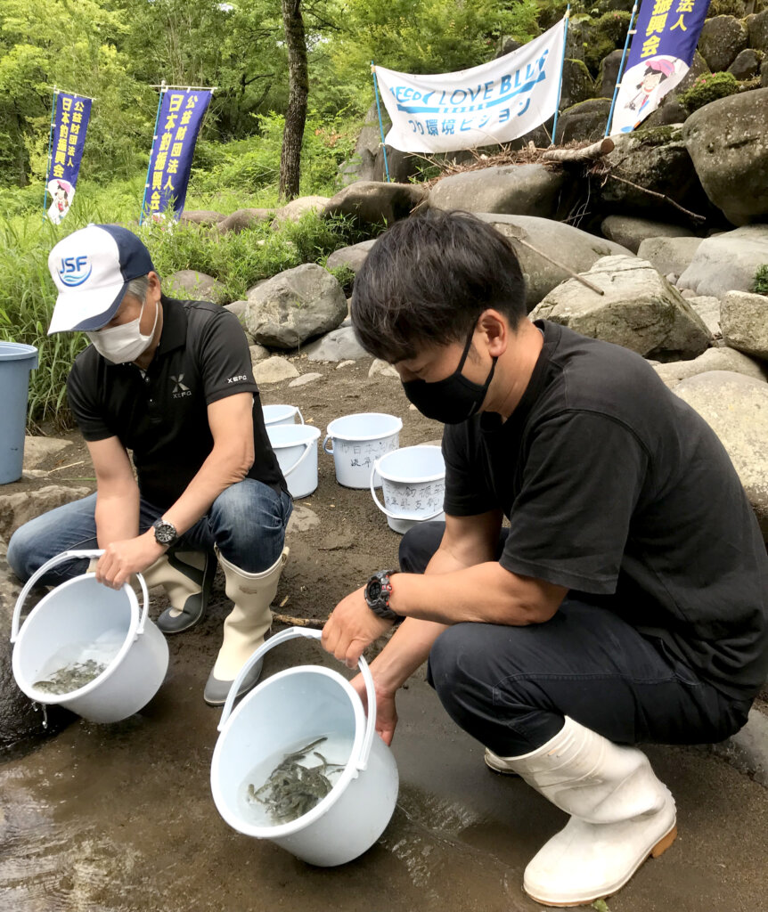 日本釣振興会岐阜県支部のアマゴ稚魚放流の様子