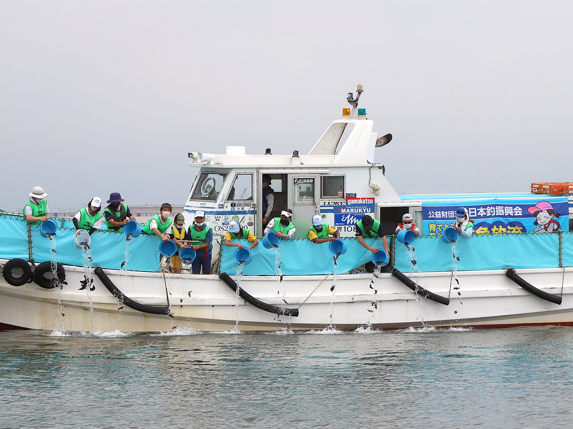 チヌの海ふたたび 大阪湾稚魚放流 キジハタとメバルも放流 釣りタレントの高本采実さんも参加 釣具新聞 釣具業界の業界紙 公式ニュースサイト