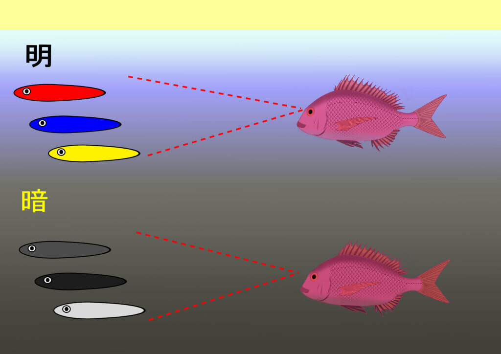 魚における明暗下での色彩判別のイメージ