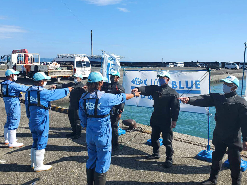 千倉漁港での水中清掃の様子