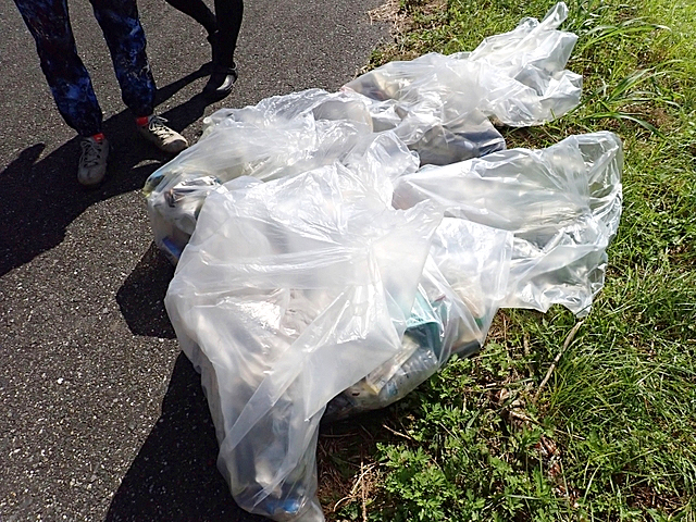 キャスティング江戸川放水路清掃で集めたゴミ