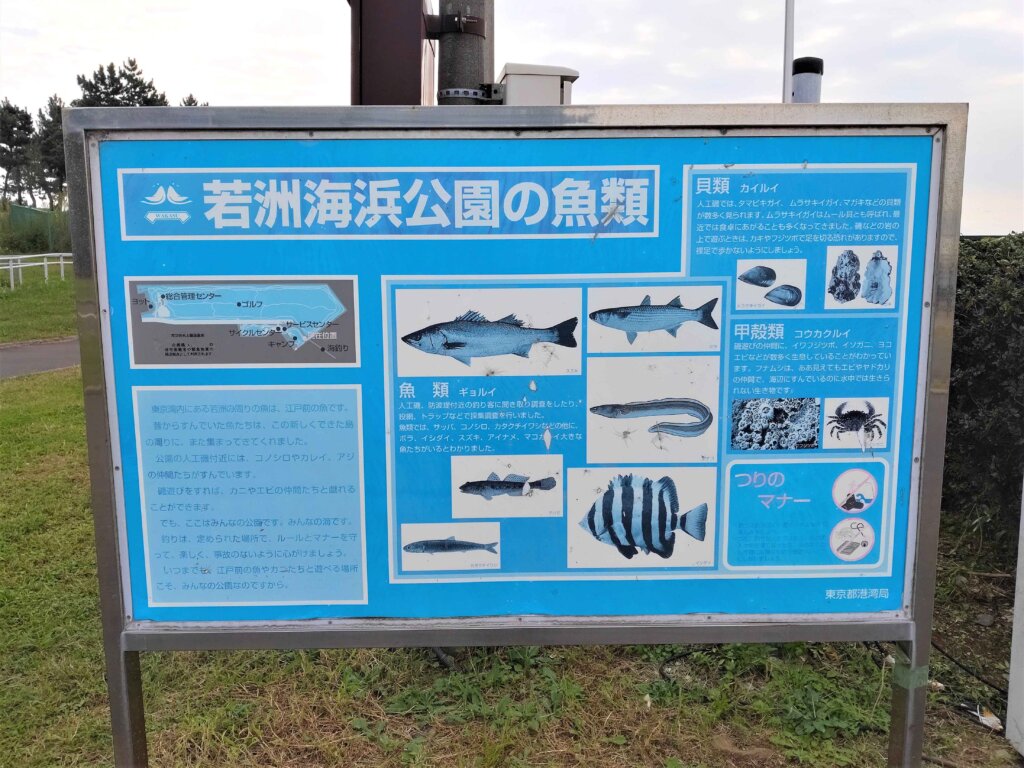 若洲海浜公園に設置された「若洲海浜公園の魚類」看板