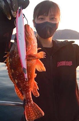 ワイワイ釣ろう!!日本海ジギング体験会inドリームチェイサーの釣果