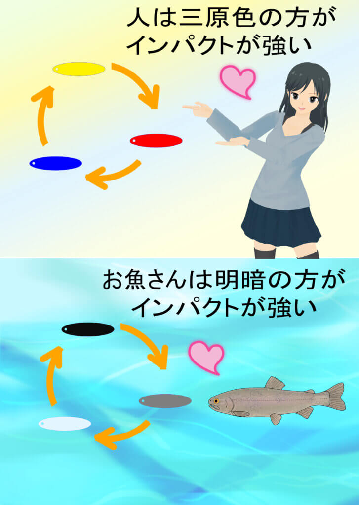魚とヒトの色のインパクトイメージ
