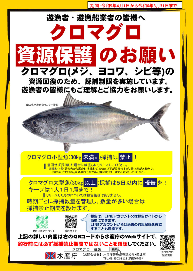 クロマグロ遊漁規制のポスター