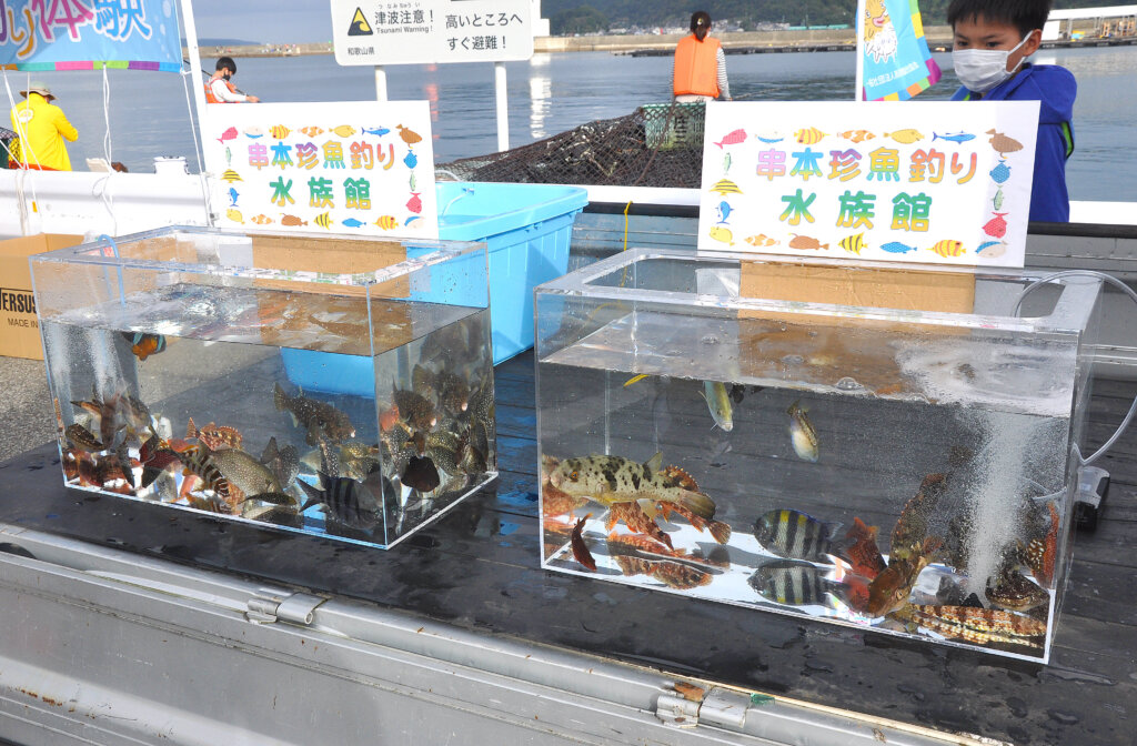 「串本珍魚釣り水族館」