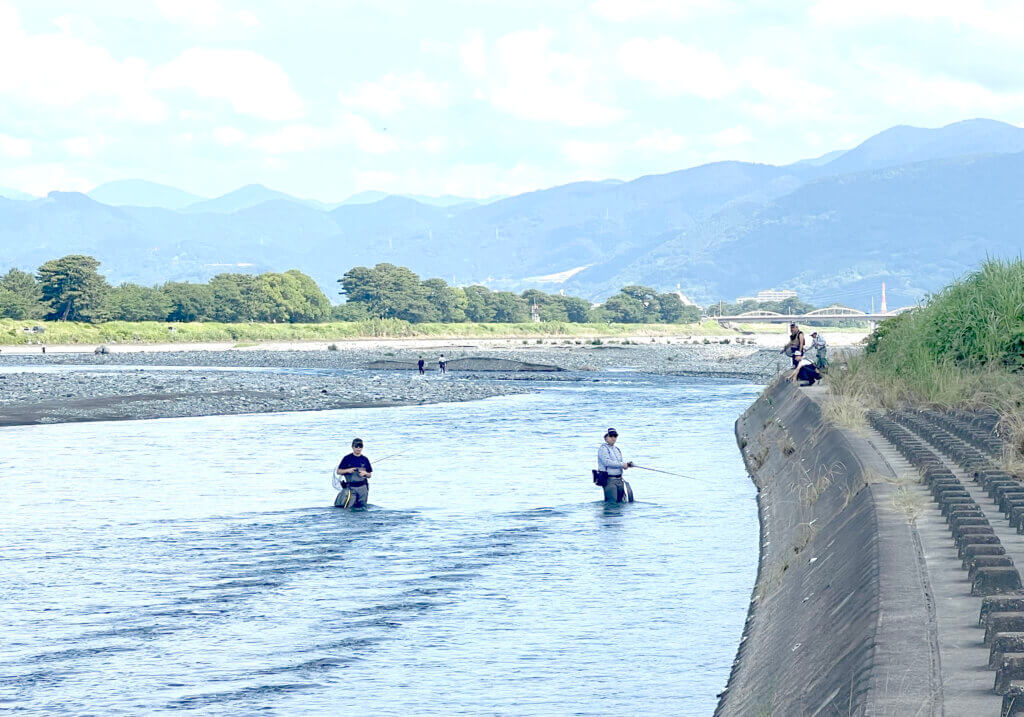 神奈川県の酒匂川で鮎ルアーを楽しんでいる様子