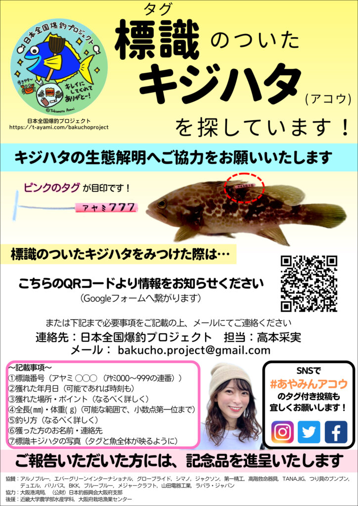 日本全国爆釣プロジェクトのタグ打ちキジハタについてのポスター