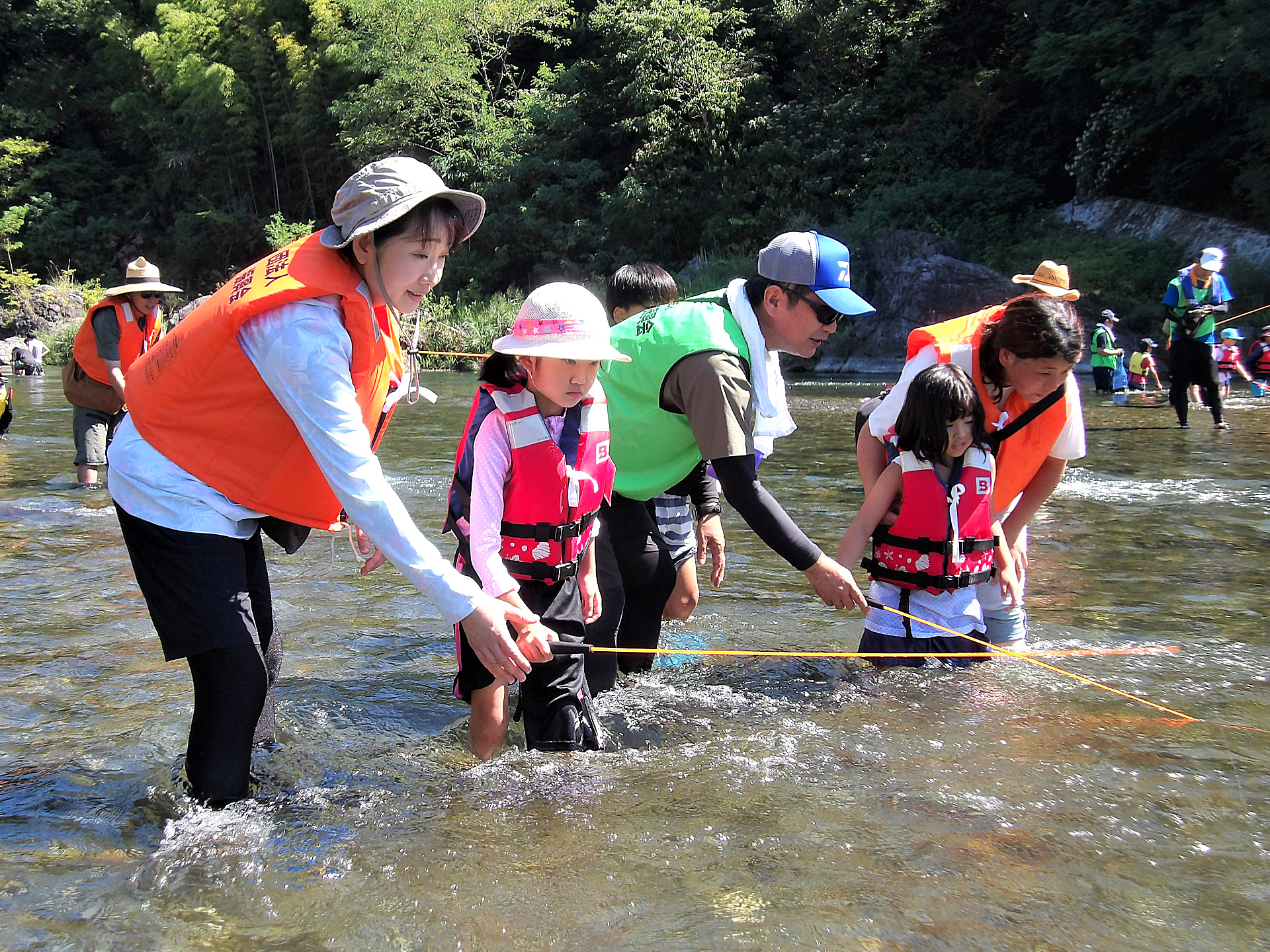 aef649c7d4abab84e2a1b58de69816