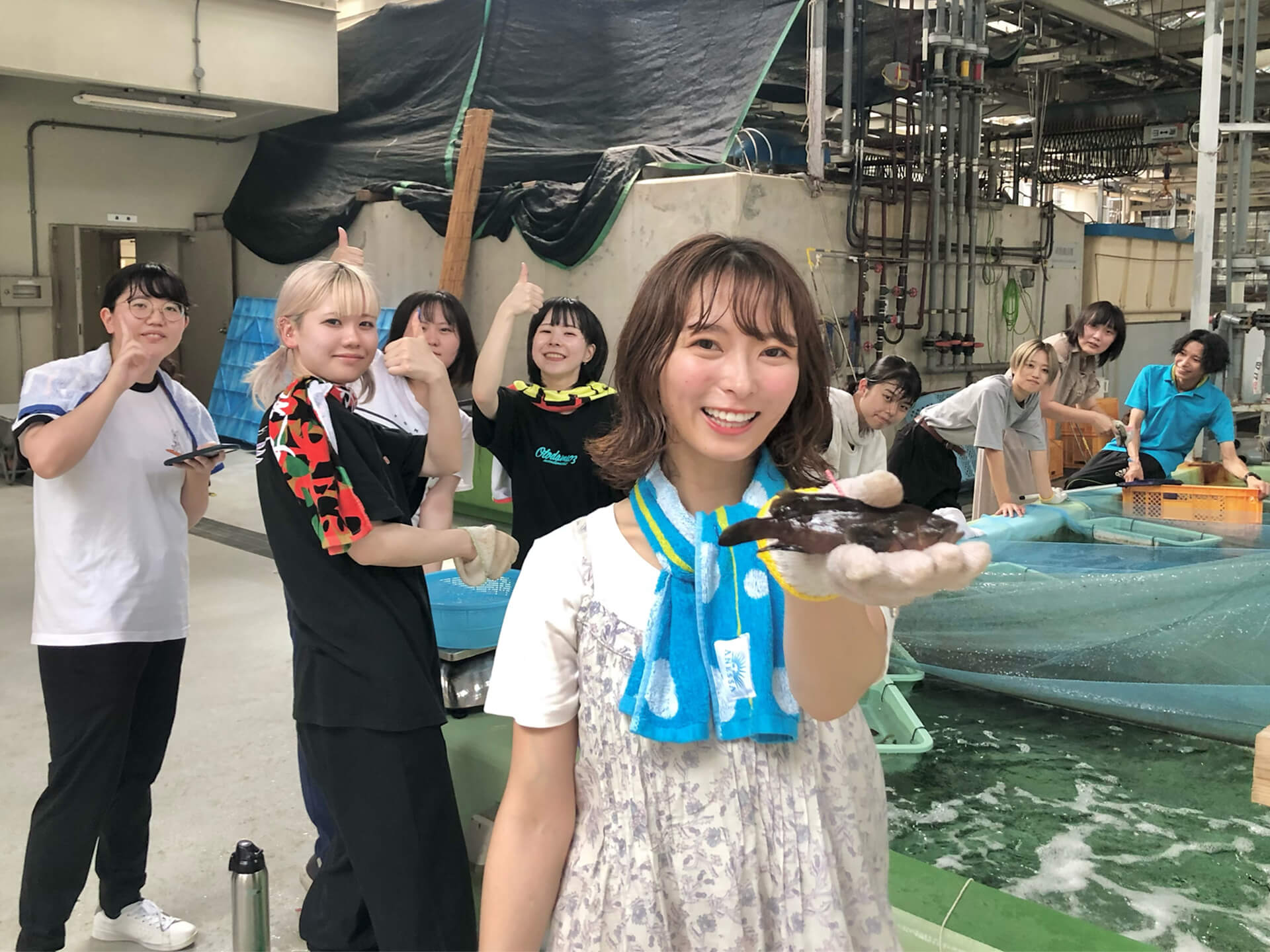 タグ付きキジハタ（アコウ）を大阪湾へ放流！釣れたらぜひ連絡を