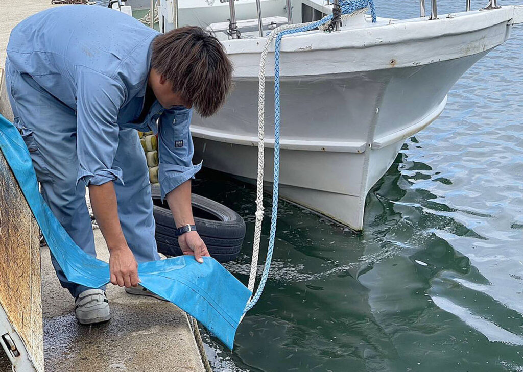 日本釣振興会石川県支部のクロダイ放流の様子
