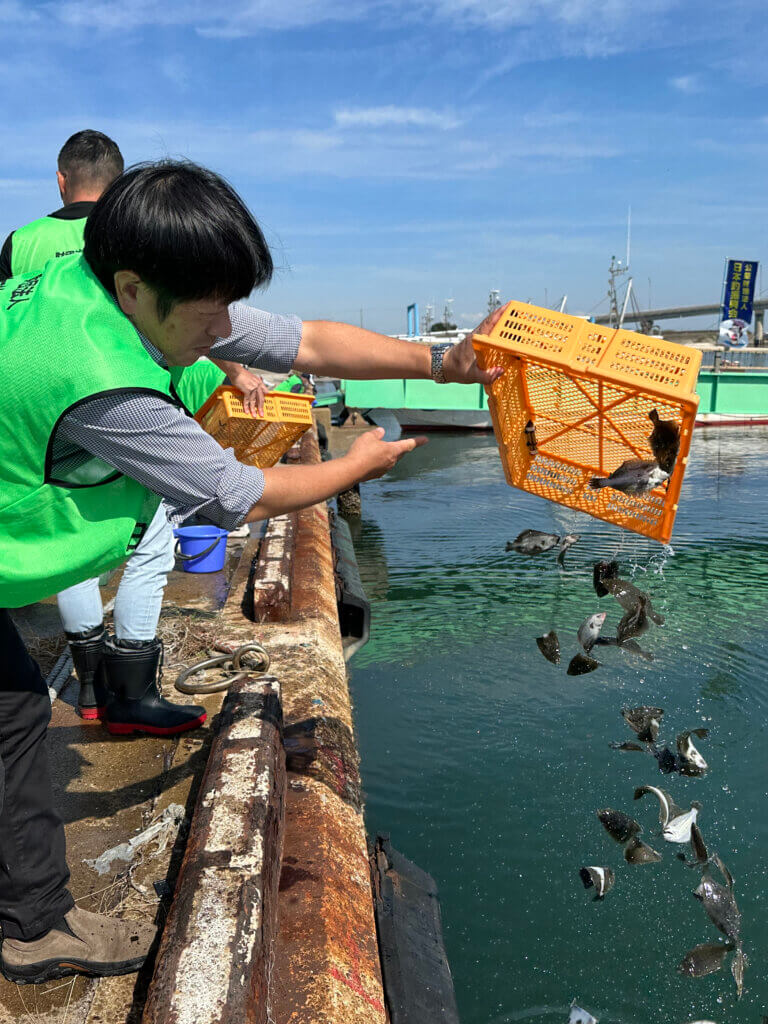 日本釣振興会愛理県支部の稚魚放流の様子