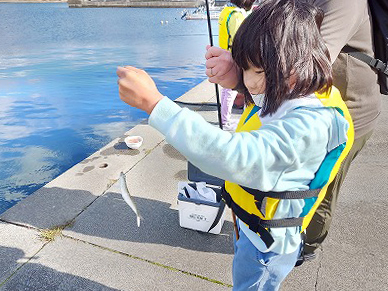 日本釣振興会岩手県支部の海釣り教室の釣果