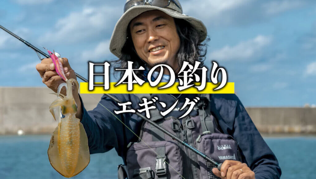 日本の釣りエギングの動画