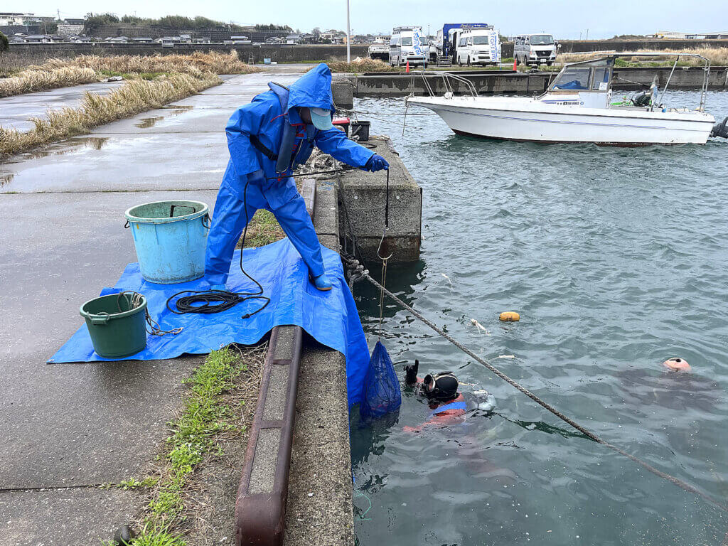 LOVE BLUE事業の堂崎港での水中清掃の様子