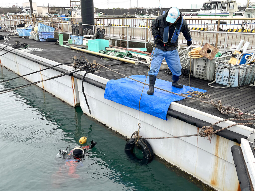 平塚漁港（新港）で行われた水中清掃の様子