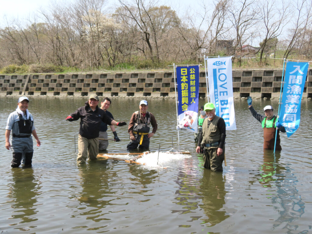日本釣振興会埼玉県支部のコイの産卵床設置の様子