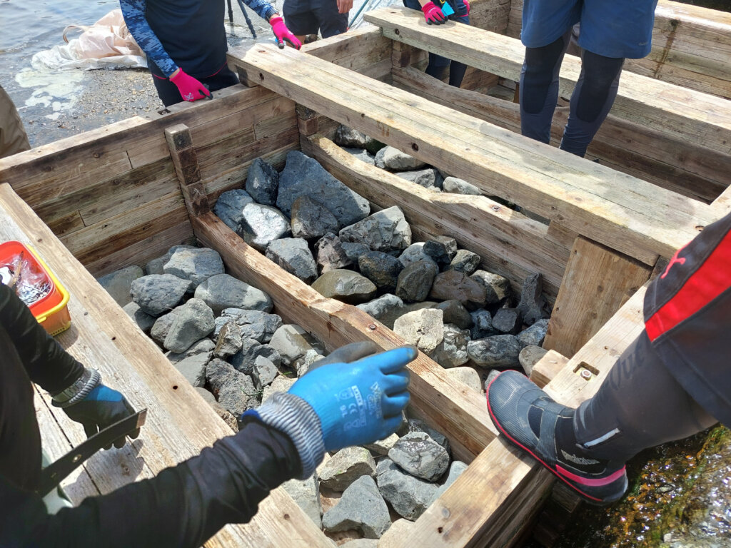 京の川の恵みを活かす会の魚道設置の様子