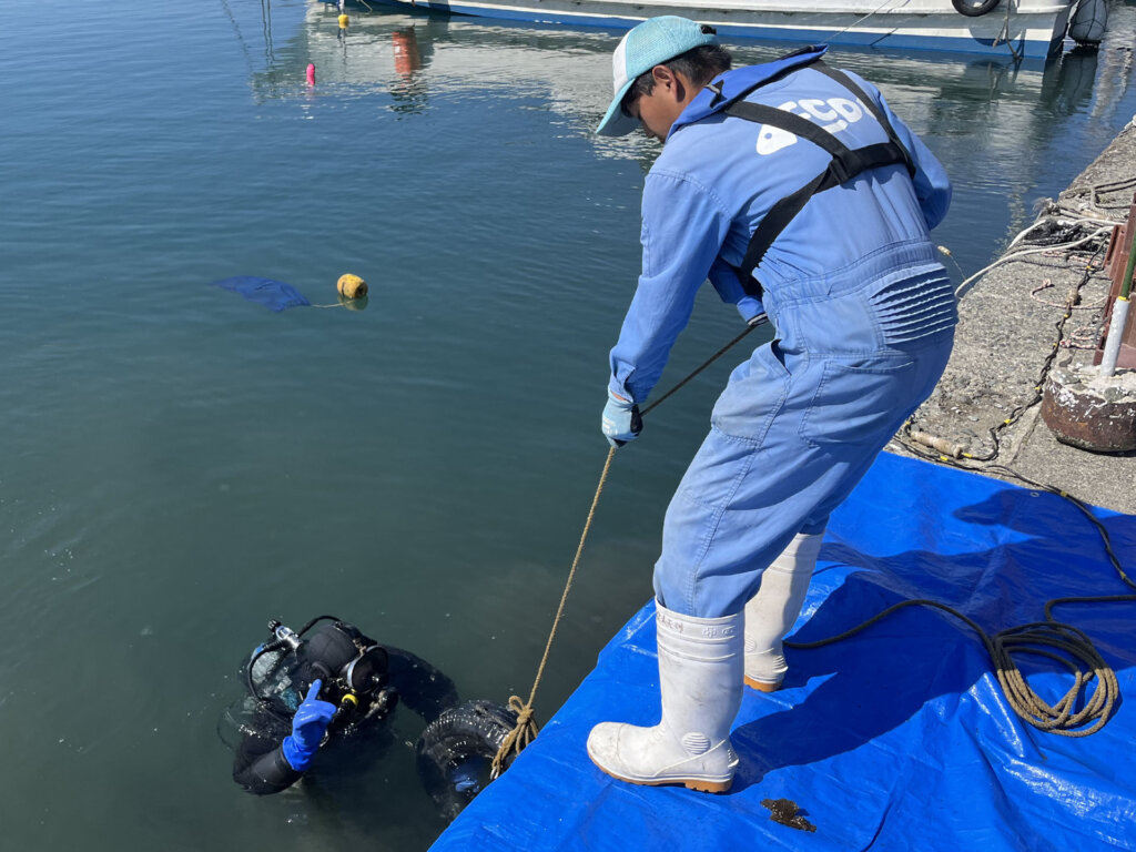 LOVE BLUE事業の福井県での水中清掃の様子