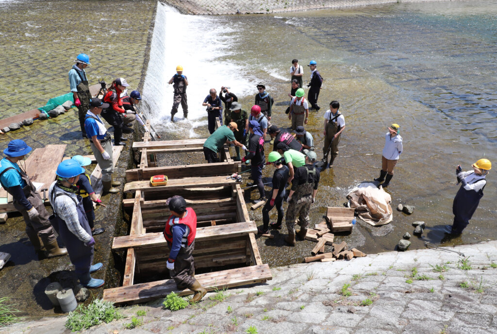 京の川の恵みを活かす会の魚道設置