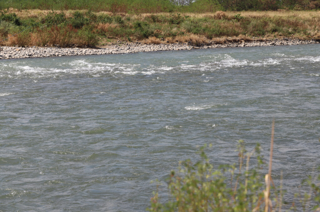 鮎釣り河川のイメージ写真