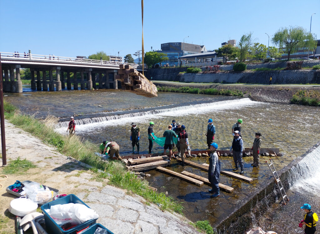 京の川の恵みを活かす会の魚道設置の木材を降ろしている様子