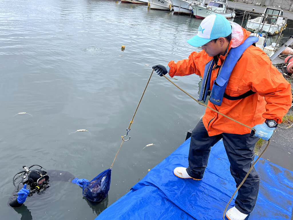 LOVE BLUE事業の黒部漁港の水中清掃の様子