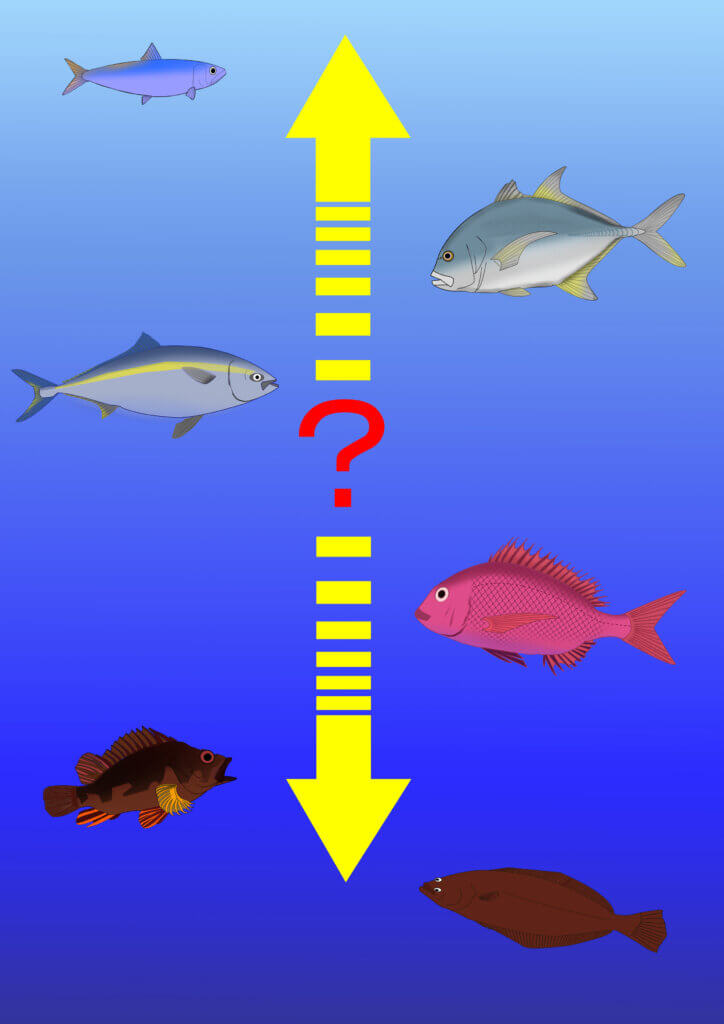 魚のいる場所を垂直に考えたイメージ