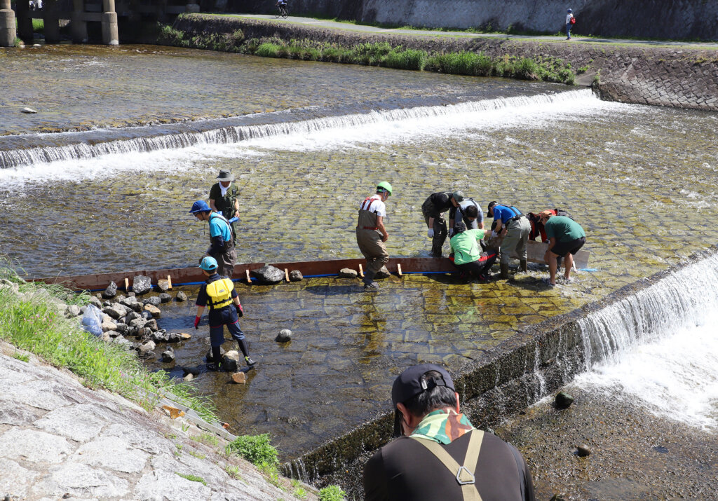 京の川の恵みを活かす会の魚道設置の止水作業の様子