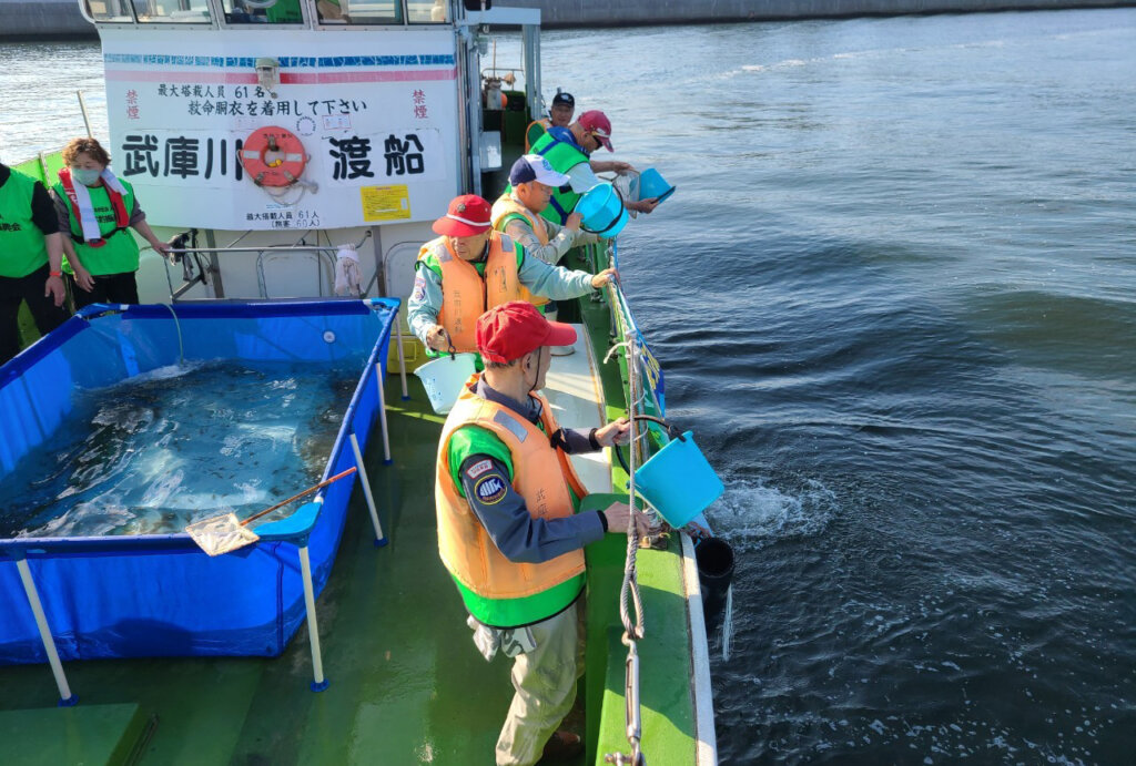 日本釣振興会兵庫県支部の放流活動の様子