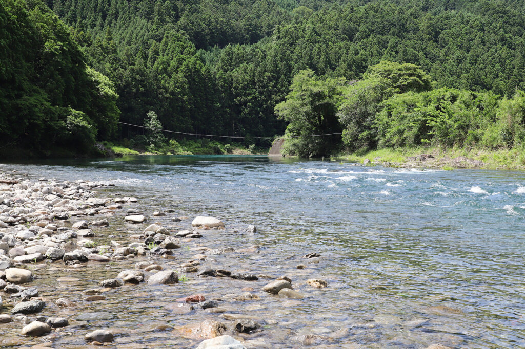 大内山川の様子