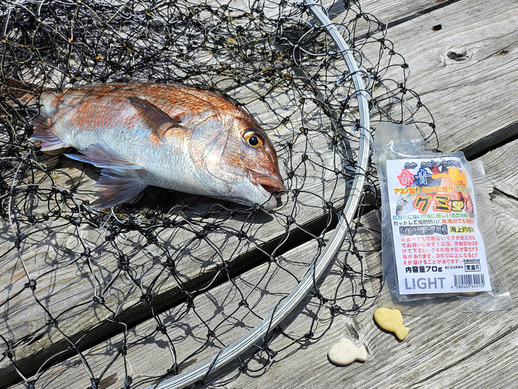 赤青一撃!!グミSPの釣果