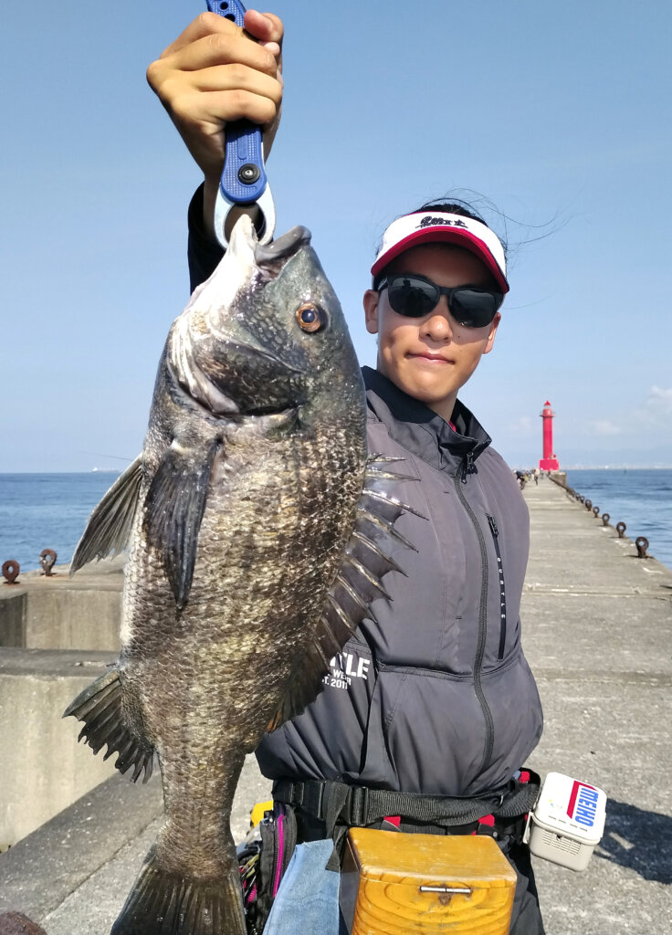 大阪湾落し込みトーナメント決勝大会の釣果