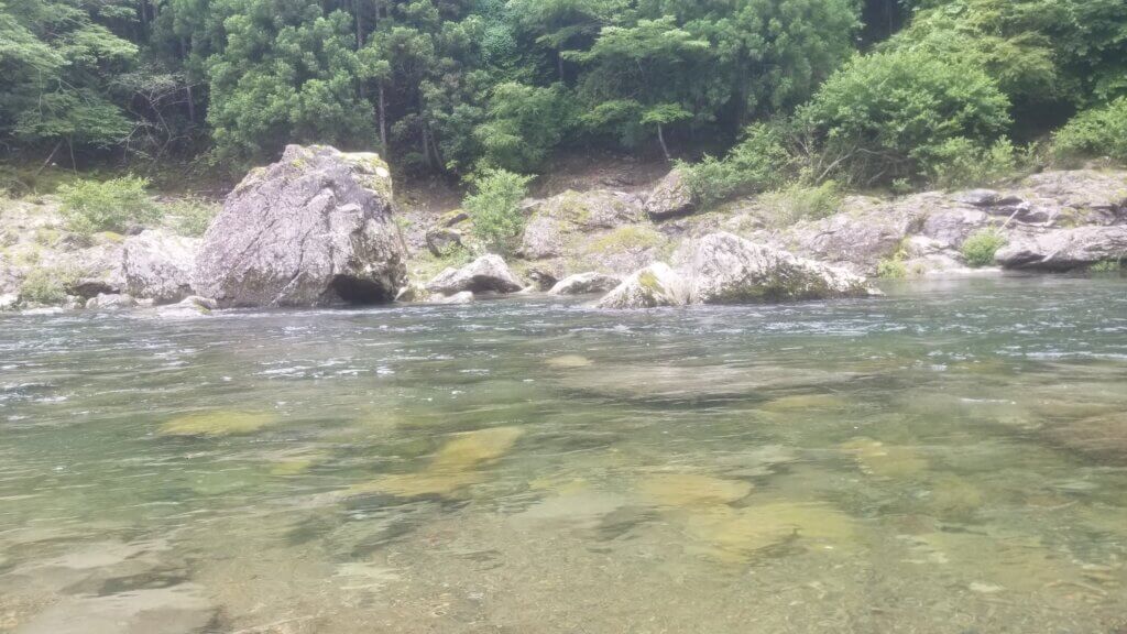 釣場の虫バリアミスト