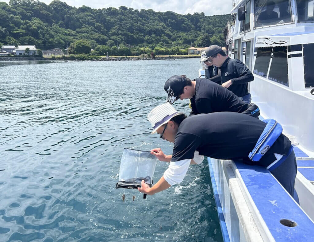 イシグロのヒラメ放流の様子