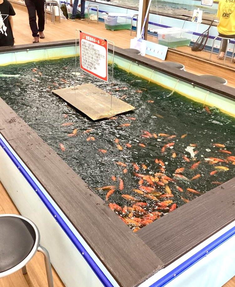 つり堀遊の金魚池