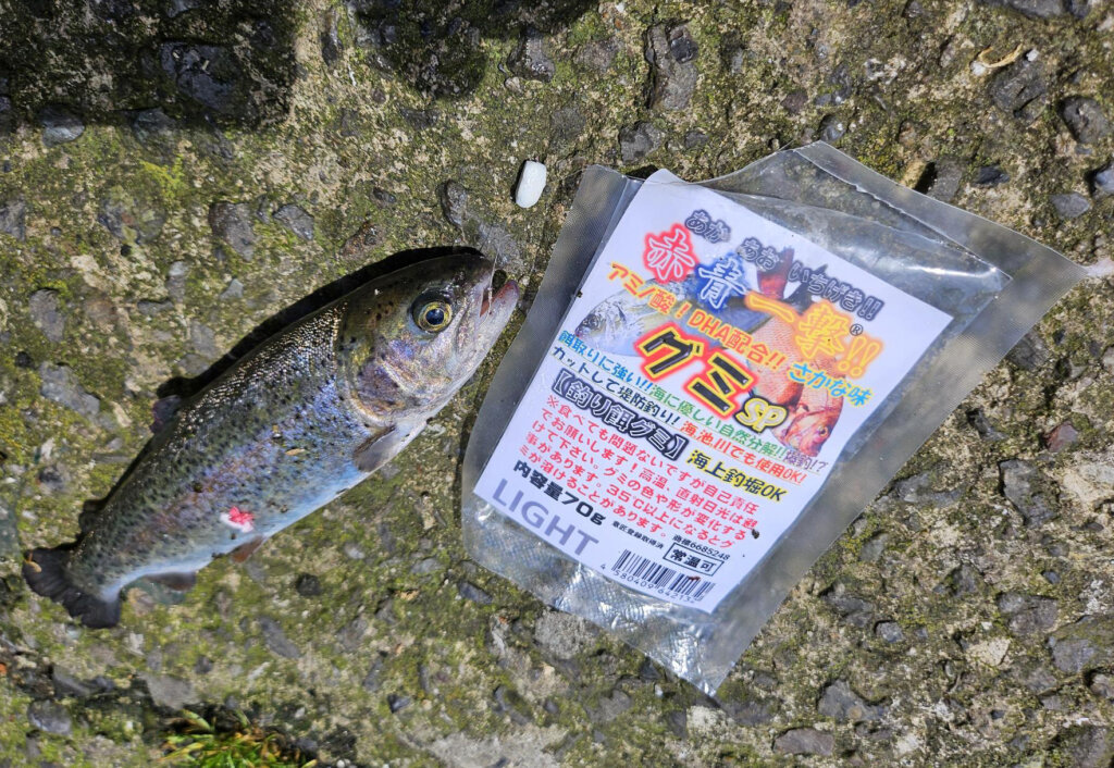 赤青一撃!!グミSPの釣果