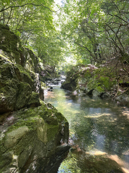 上野村