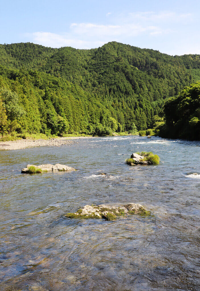 大内山川の風景写真