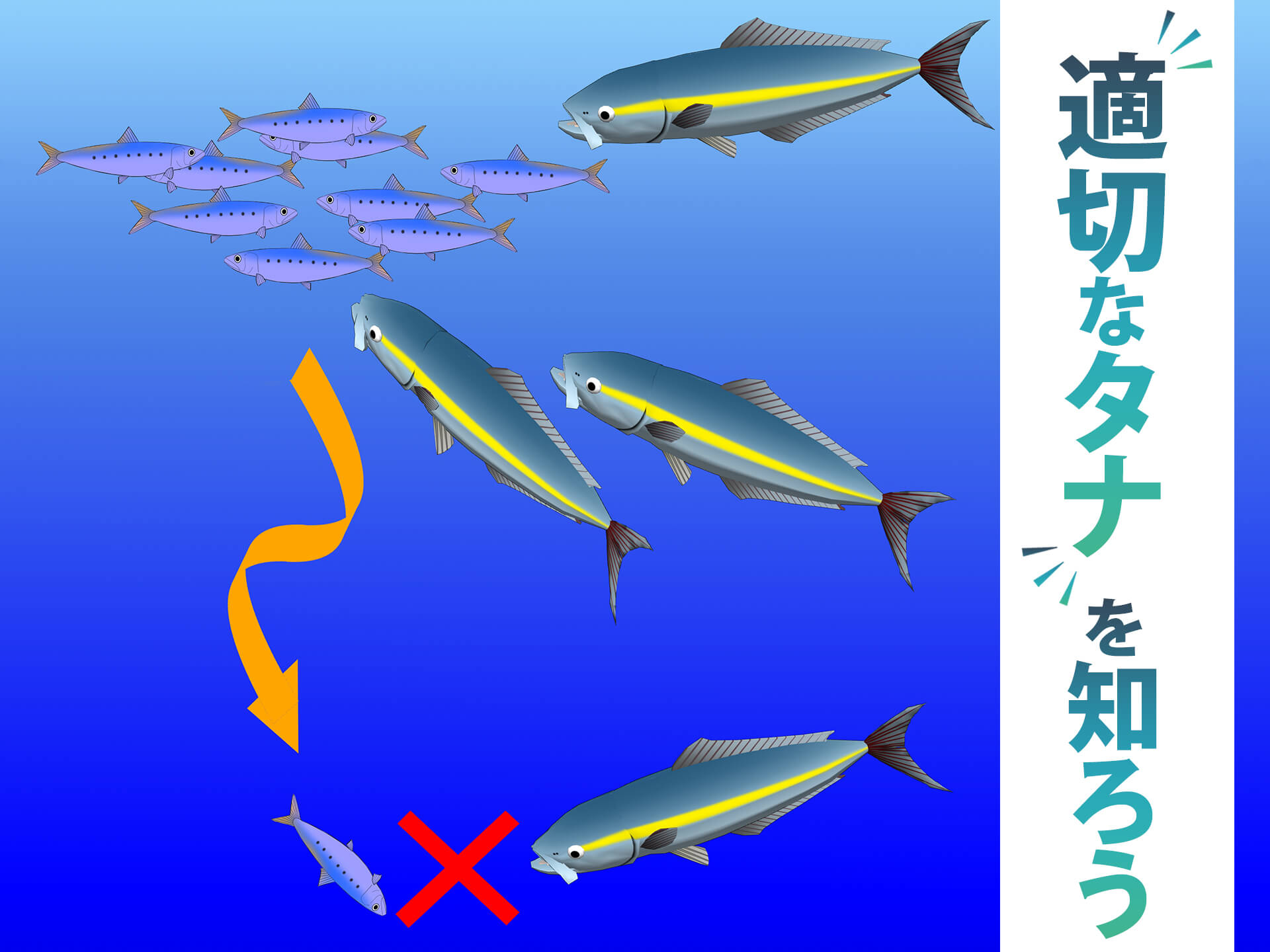 パンツ FISH 適切なタナを知ろう！撒き餌とタナの関係は？タナが合わないと