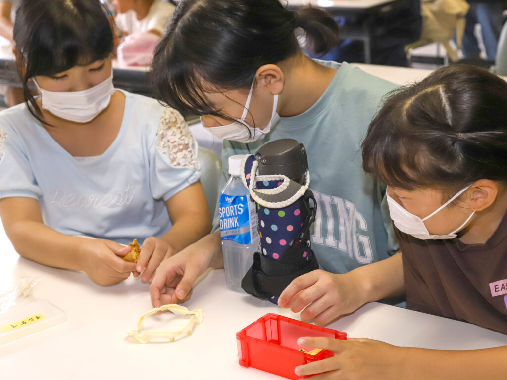 魚の歯の標本に興味深々の子供達