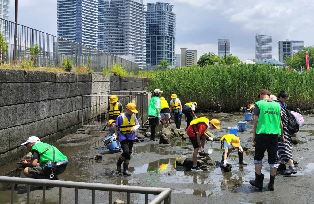 横浜市立幸ヶ谷小学校の生物観察の様子