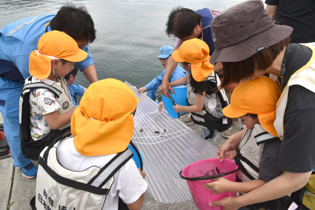 日本釣振興会宮城県支部のマダイ放流の様子