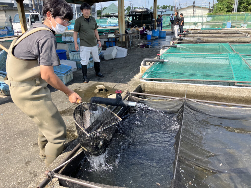 埼玉県水産研究所の様子