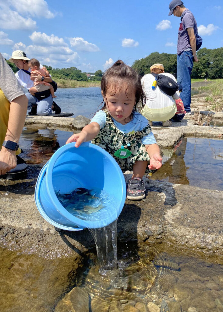 入間川での放流の様子